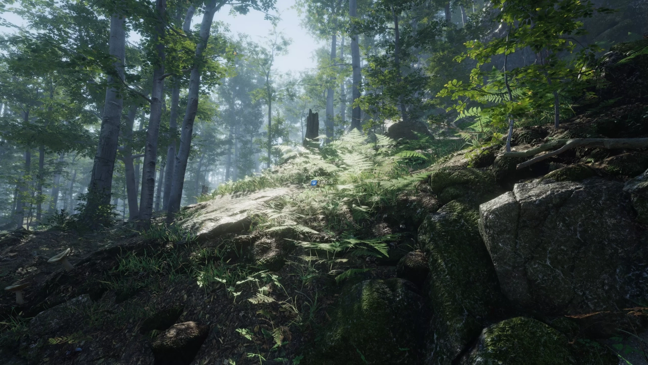 Screenshot #2 - Forest Environment - Dynamic Nature