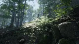 Screenshot #2 - Forest Environment - Dynamic Nature