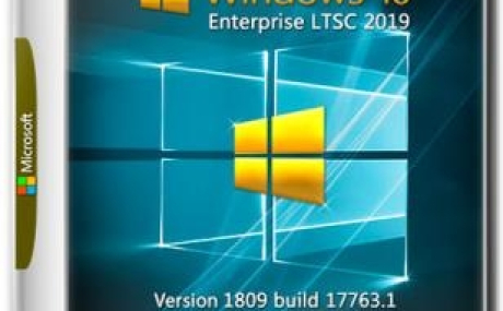Windows 10 Корпоративная LTSC 2019 17763.1 Version 1809 by Andreyonohov 2DVD