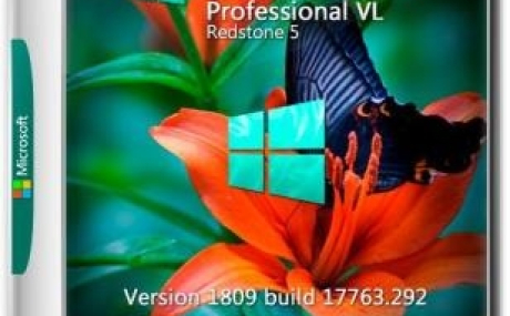 Windows 10 PRO VL RS5 x64 RUS G.M.A. v.24.01.19