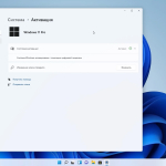 Screenshot #13 - Windows 11 Pro Full x64 + OpenVpn by WebUser v1