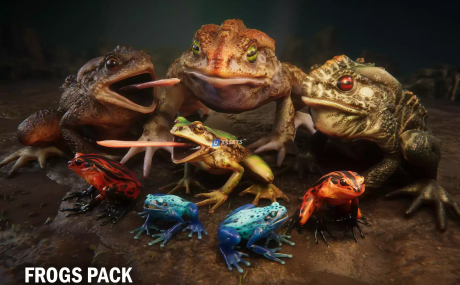 Frogs pack