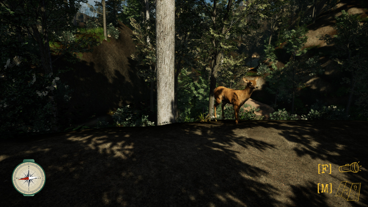 Screenshot #9 - Pack It Out