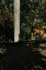 Screenshot #9 - Pack It Out