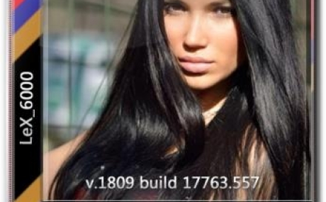 Windows 10 Enterprise LTSC 2019 v1809 (x86/x64) by LeX_6000 [14.06.2019]