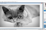 Screenshot #3 - PixBuilder Studio 2.2