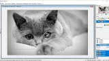 Screenshot #3 - PixBuilder Studio 2.2
