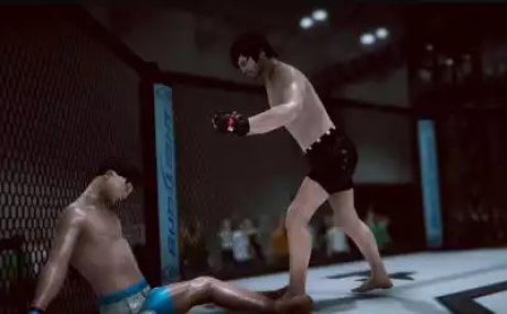 Master Fighting System