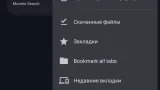 Screenshot #2 - BROWSER 142.0.7444.138