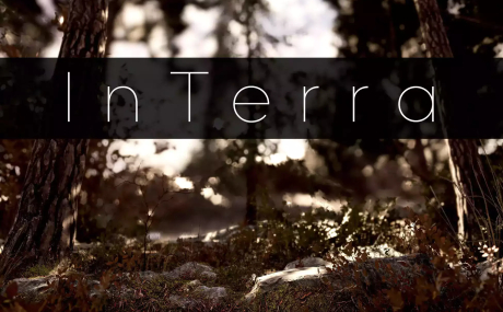 InTerra ~ Shaders for Terrain & its Objects