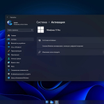 Screenshot #12 - Windows 11 Lite 24H2 Pro 26100.1000 By FBConan