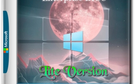 Windows 10 Lite Enterprise LTSC 2021 Build 19044.5965