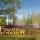 Foliage Renderer