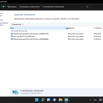 Screenshot #7 - Windows 11 Pro For Workstations x64 lite 21H2 build 22000.527 by Zosma