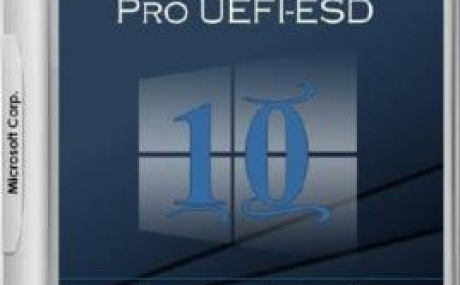 Windows 10 Pro 1709 x86/x64 by kuloymin v12.2 (ESD)