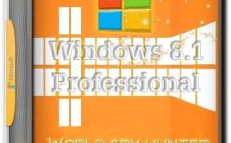 Windows 8.1 pro world spy hunter by killer110289 (x86) декабрь 2017