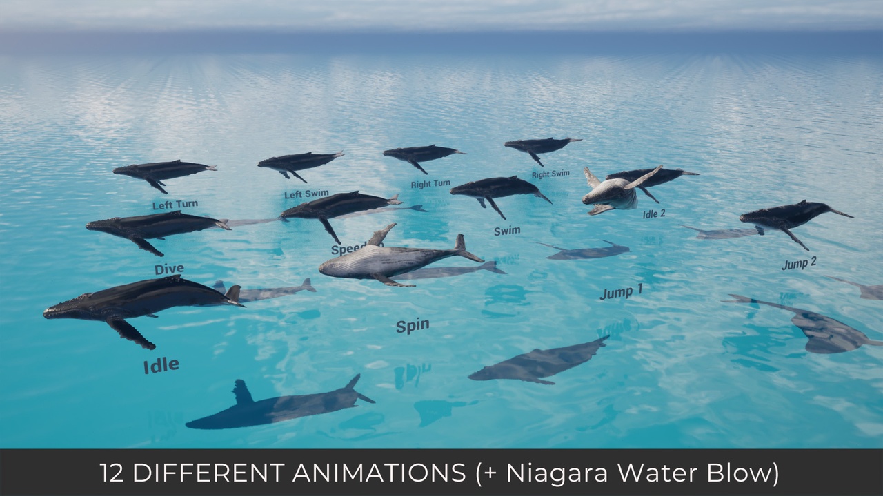 Screenshot #3 - Animated Humpback Whale (UE5.3+)