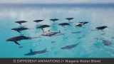 Screenshot #3 - Animated Humpback Whale (UE5.3+)