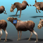 Screenshot #4 - Forest Animal - Deer & Moose Family Pack