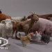 FARM ANIMALS PACK