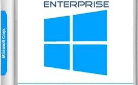 Windows 10 Enterprise 1703 RS2 x86/x64 VL by OVGorskiy