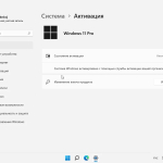 Screenshot #3 - Windows 11 Pro x64 21Н2 (build 22000.469) by ivandubskoj 07.02.2022