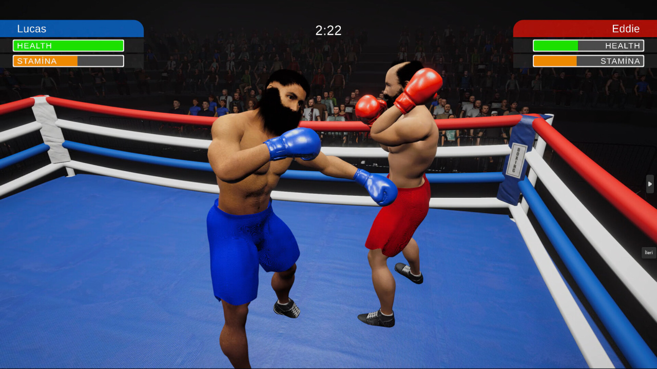Screenshot #3 - Boxing Simulator