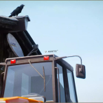 Screenshot #4 - Animalia - Raven