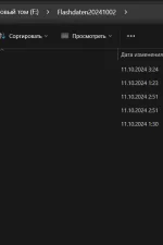 Screenshot #1 - ODIS Flashdaten VAG (datflash service42) Audi VW Seat Skoda [2024-10-02]