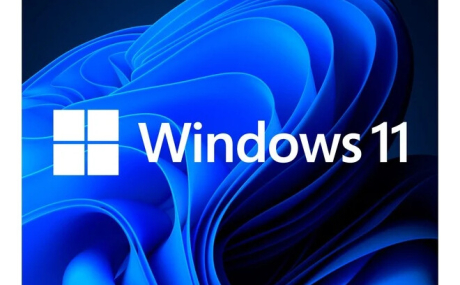 Windows 11 23H2 v22631.3880 MSDN/VLSC