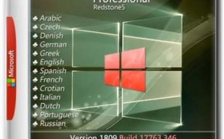 Windows 10 Pro x64 1809.17763.346 by Nicky