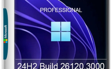 Windows 11 Русская 24H2 Pro Build 26120.3000 Dev
