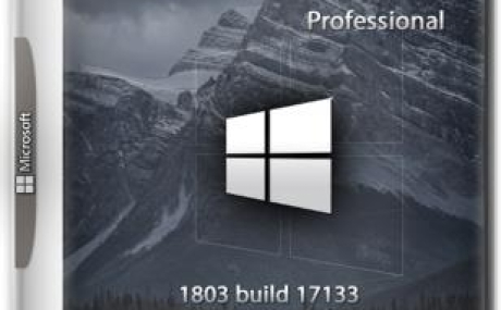 Windows 10 Pro 1803 build 17133 {x64} by Morhior