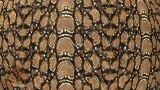 Screenshot #3 - Leather Material Pack by GameTextures