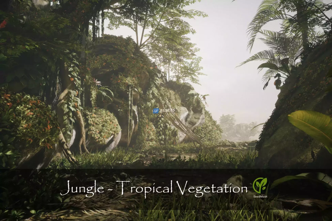Screenshot #1 - Jungle - Tropical Vegetation