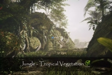 Jungle - Tropical Vegetation