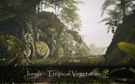 Jungle - Tropical Vegetation