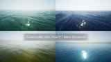 Screenshot #8 - Dynamic Real Water — Реалистичная система воды для Unreal Engine 5