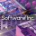 Software Inc.: +3 трейнер