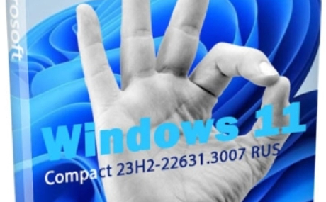 Windows 11 Compact 23H2 22631.3007 by Flibustier
