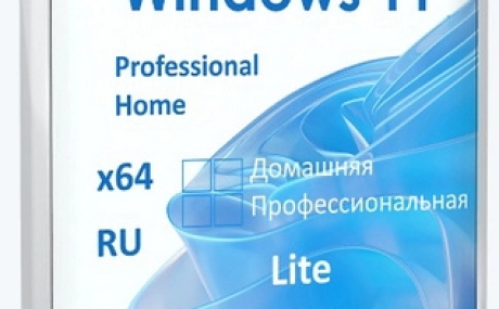 Windows 11 Pro-Home Optim Lite 25H2 by OVGorskiy 10.2025