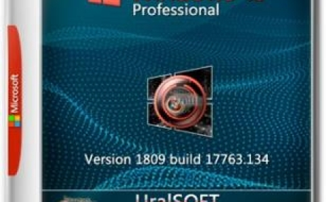 Windows 10x86x64 Pro 17763.134 by Uralsoft