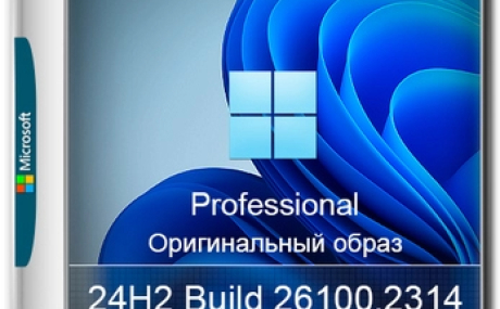 Windows 11 Pro 24H2 Build 26100.2314 Full Ноябрь 2024
