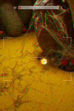 Screenshot #2 - Backroom Company