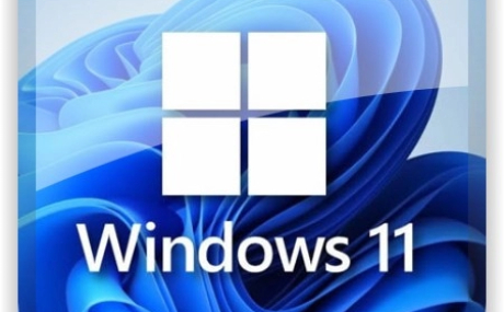 Windows 11 (v23H2) RUS-ENG -28in1- HWID-act (AIO) by m0nkrus
