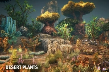 Desert plants