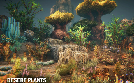 Desert plants