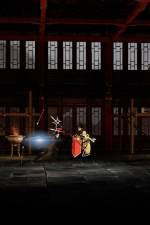 Screenshot #5 - the Shadow of Swallow