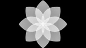 ONEPLUS AOD 16.001.0020