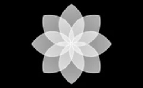 ONEPLUS AOD 16.001.0020